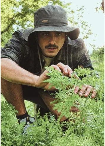 Ritratto di WILDCESARE